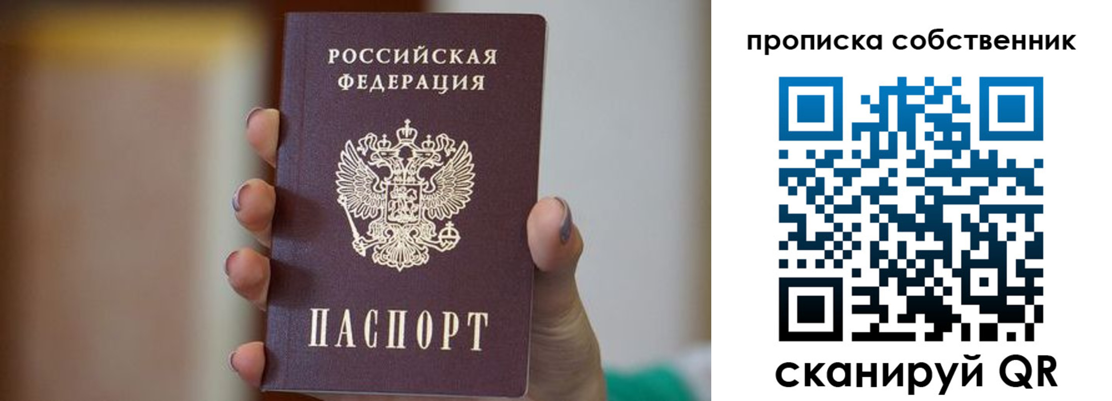 прописка поиск в Шилке
